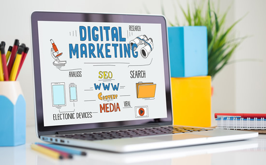 ��վ�İ棬��վά��